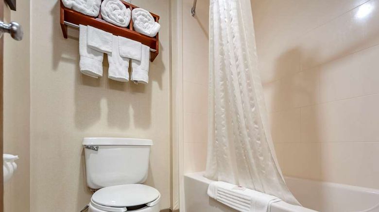 <b>Comfort Inn Grand Island Room</b>. Images powered by <a href="https://iceportal.shijigroup.com/" title="IcePortal" target="_blank">IcePortal</a>.