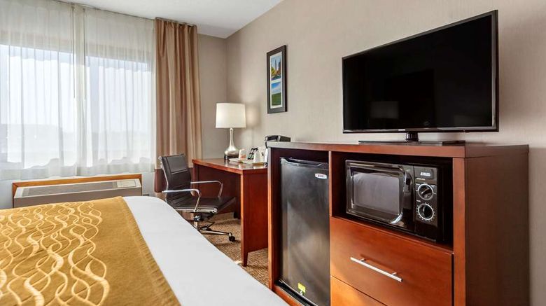 <b>Comfort Inn Grand Island Room</b>. Images powered by <a href="https://iceportal.shijigroup.com/" title="IcePortal" target="_blank">IcePortal</a>.