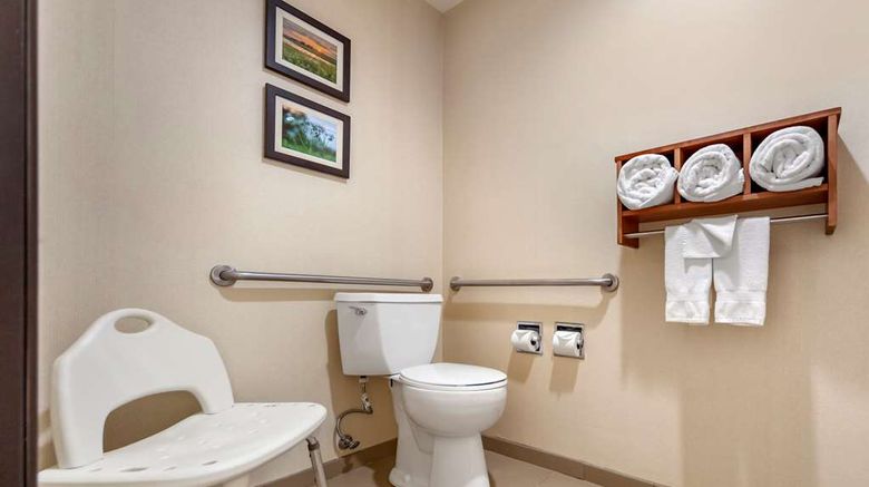 <b>Comfort Inn Grand Island Room</b>. Images powered by <a href="https://iceportal.shijigroup.com/" title="IcePortal" target="_blank">IcePortal</a>.