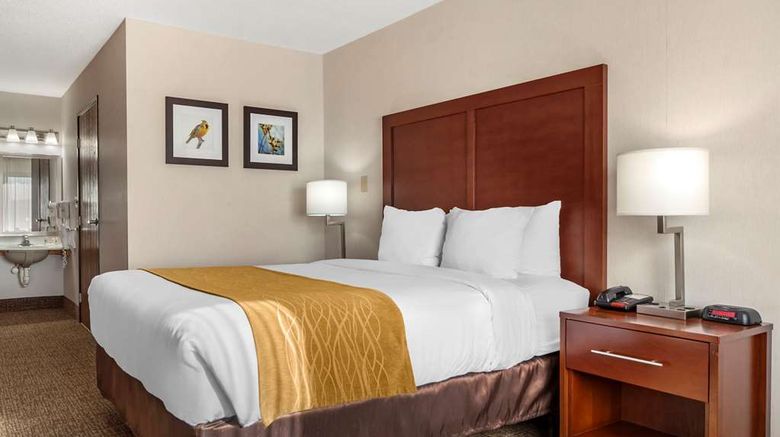 <b>Comfort Inn Grand Island Room</b>. Images powered by <a href="https://iceportal.shijigroup.com/" title="IcePortal" target="_blank">IcePortal</a>.