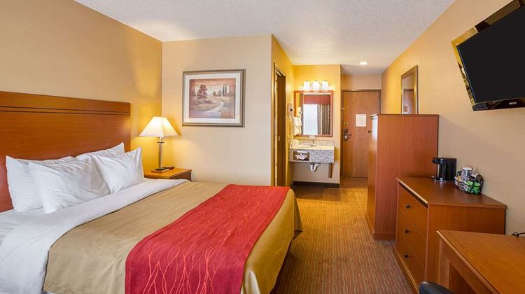 Quality Inn York Room