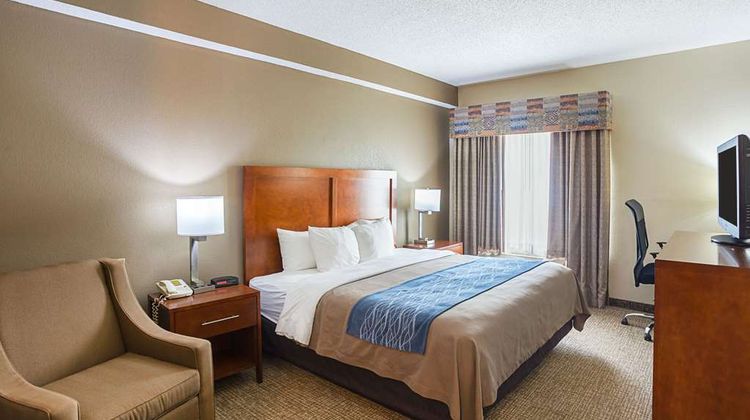 Comfort Inn Room