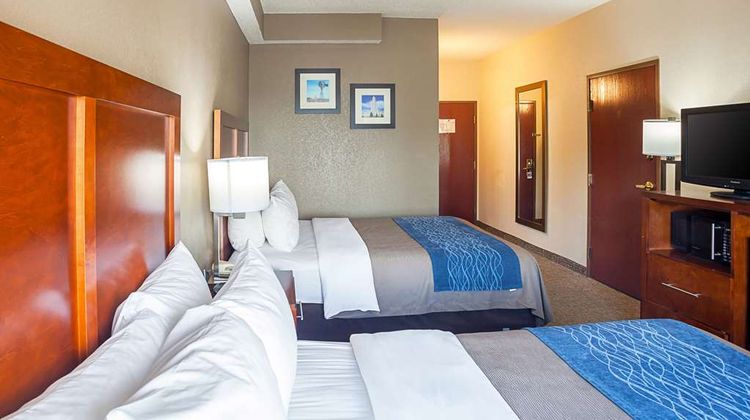 Comfort Inn Room