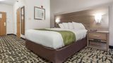Quality Inn and Suites Omaha Chalco Room
