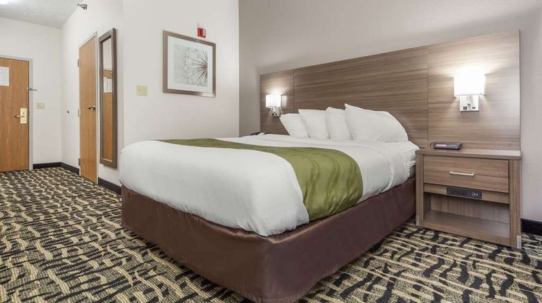 <b>Quality Inn and Suites Omaha Chalco Room</b>. Images powered by <a href="https://iceportal.shijigroup.com/" title="IcePortal" target="_blank">IcePortal</a>.