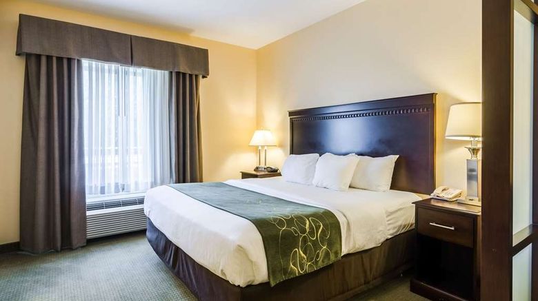 <b>Comfort Suites Gothenburg South Room</b>. Images powered by <a href="https://iceportal.shijigroup.com/" title="IcePortal" target="_blank">IcePortal</a>.
