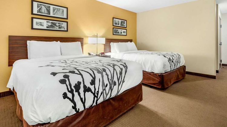Sleep Inn & Suites Room