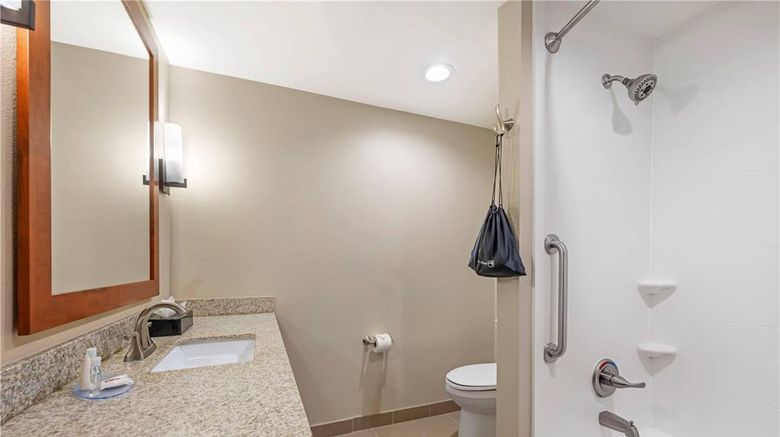 <b>Comfort Suites West Omaha Room</b>. Images powered by <a href="https://iceportal.shijigroup.com/" title="IcePortal" target="_blank">IcePortal</a>.