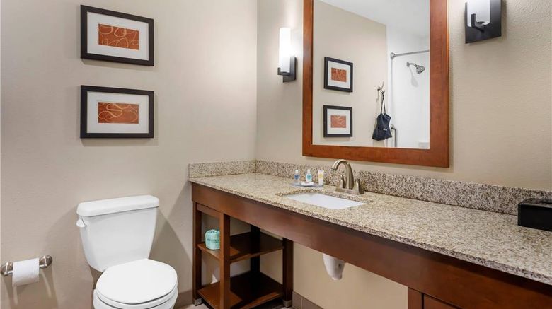 <b>Comfort Suites West Omaha Room</b>. Images powered by <a href="https://iceportal.shijigroup.com/" title="IcePortal" target="_blank">IcePortal</a>.