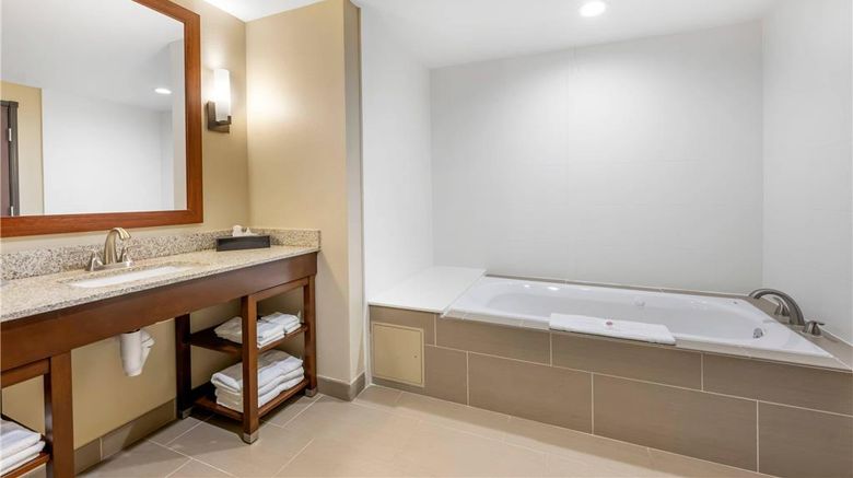 <b>Comfort Suites West Omaha Room</b>. Images powered by <a href="https://iceportal.shijigroup.com/" title="IcePortal" target="_blank">IcePortal</a>.