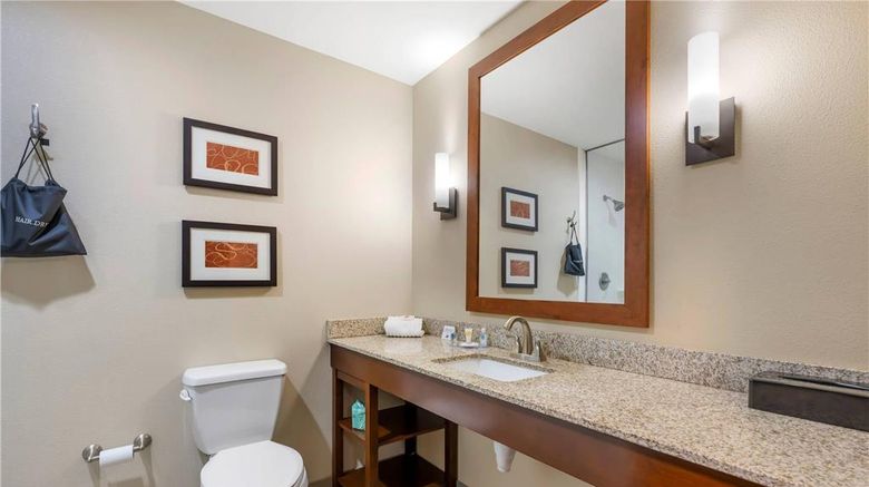 <b>Comfort Suites West Omaha Room</b>. Images powered by <a href="https://iceportal.shijigroup.com/" title="IcePortal" target="_blank">IcePortal</a>.