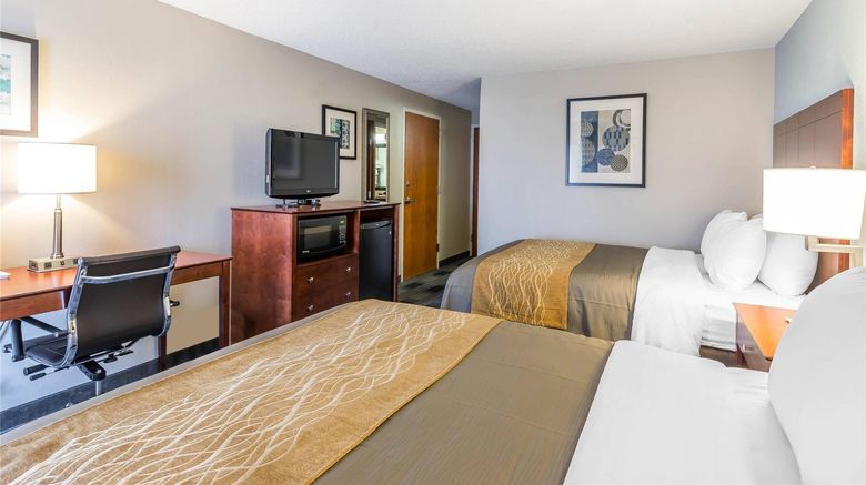 <b>Comfort Inn Omaha Room</b>. Images powered by <a href="https://iceportal.shijigroup.com/" title="IcePortal" target="_blank">IcePortal</a>.