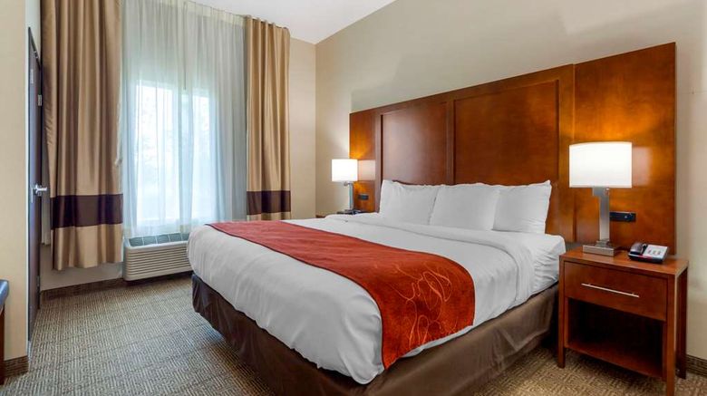 <b>Comfort Suites La Vista Suite</b>. Images powered by <a href="https://iceportal.shijigroup.com/" title="IcePortal" target="_blank">IcePortal</a>.