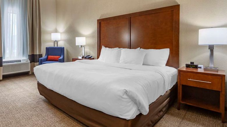 <b>Comfort Inn & Suites Sidney Room</b>. Images powered by <a href="https://iceportal.shijigroup.com/" title="IcePortal" target="_blank">IcePortal</a>.