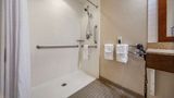 <b>Comfort Inn & Suites Sidney Room</b>. Images powered by <a href="https://iceportal.shijigroup.com/" title="IcePortal" target="_blank">IcePortal</a>.