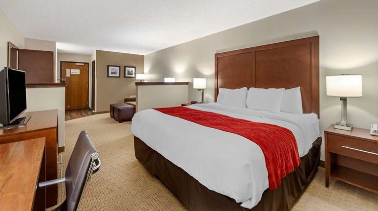 Comfort Inn Valentine Suite