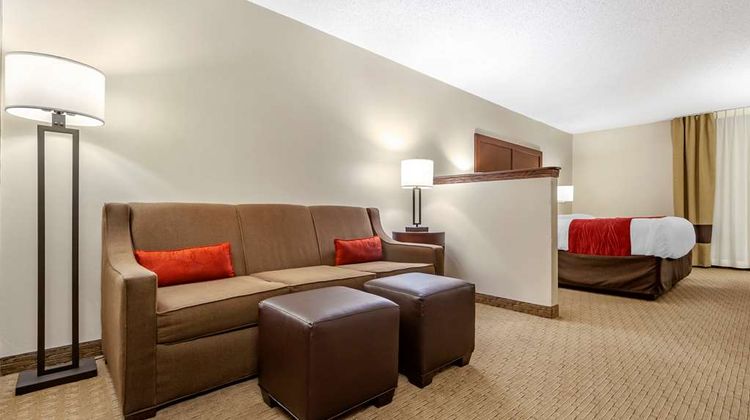 Comfort Inn Valentine Suite