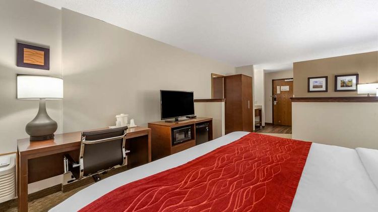 Comfort Inn Valentine Suite