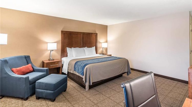 Comfort Inn Concord South End Room