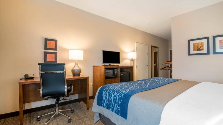 Comfort Inn Concord South End Room