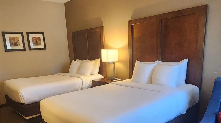Comfort Inn Concord South End Room