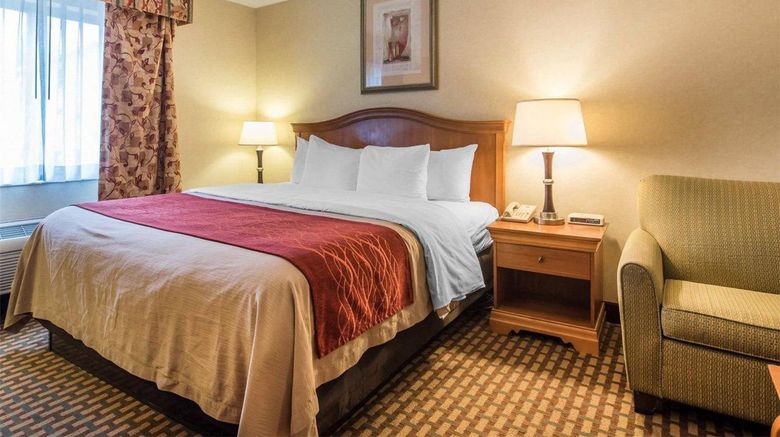 <b>Quality Inn Room</b>. Images powered by <a href="https://iceportal.shijigroup.com/" title="IcePortal" target="_blank">IcePortal</a>.