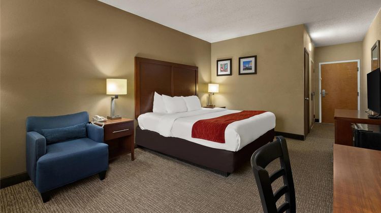 Comfort Inn Room