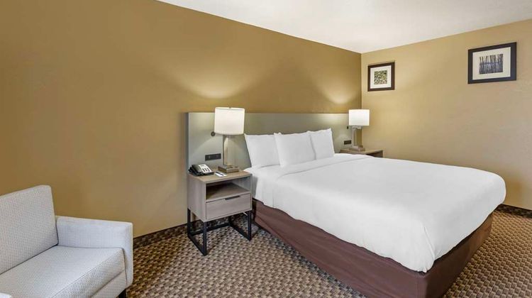 Comfort Inn & Suites Room
