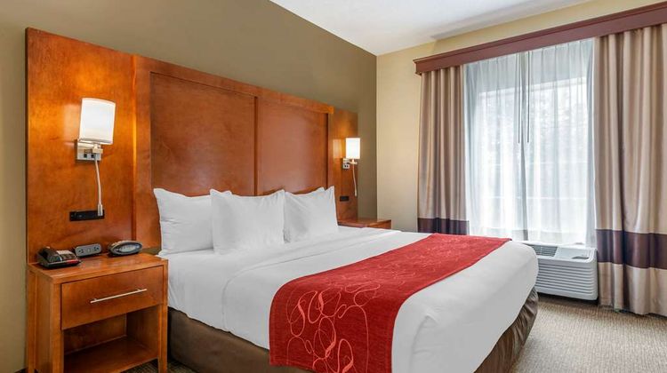 Comfort Suites Newark Room