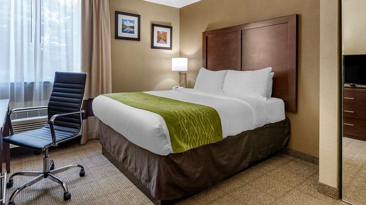 Comfort Inn Room