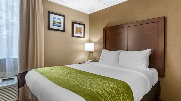 Comfort Inn Room