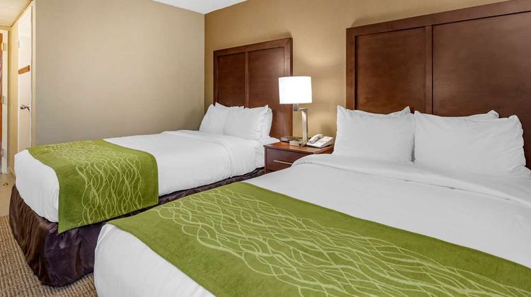 Comfort Inn Room