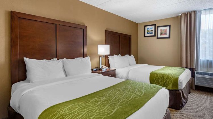Comfort Inn Room
