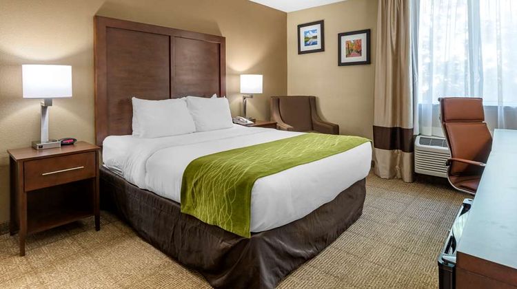 Comfort Inn Room