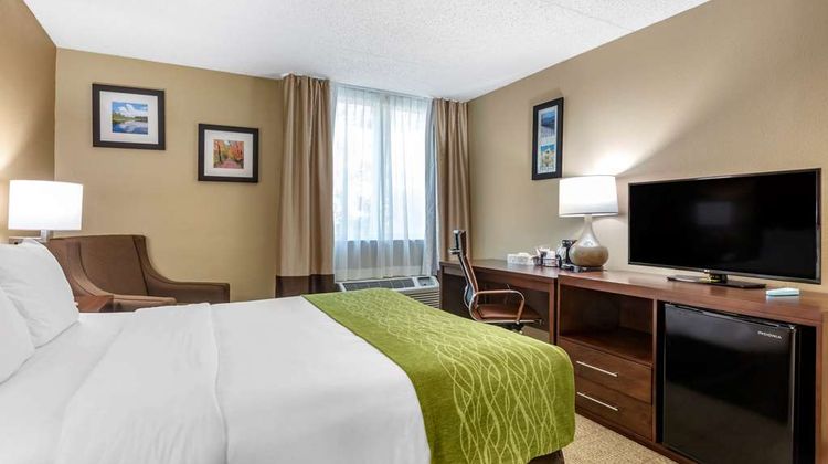 Comfort Inn Room