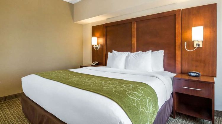 Comfort Suites at Woodbridge Room