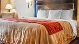 Quality Inn & Suites Roswell Room