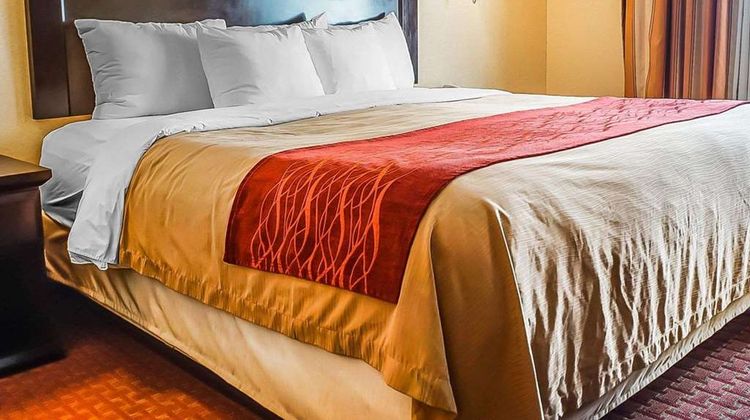 Quality Inn & Suites Roswell Suite