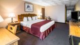 Quality Inn Room