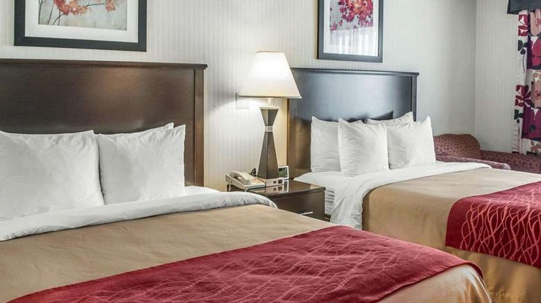 <b>Quality Inn & Suites Room</b>. Images powered by <a href="https://iceportal.shijigroup.com/" title="IcePortal" target="_blank">IcePortal</a>.