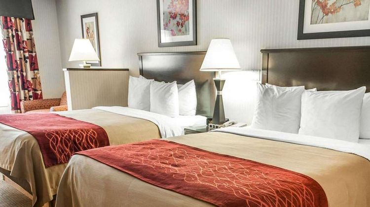 Quality Inn & Suites Suite