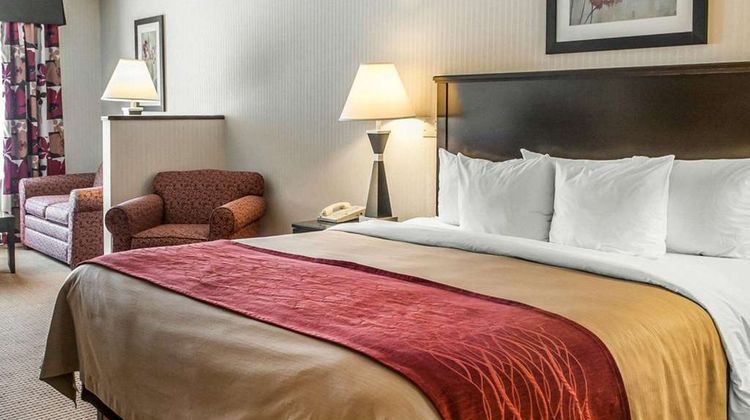 Quality Inn & Suites Suite