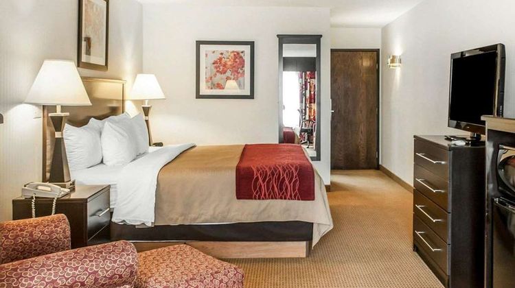 Quality Inn & Suites Suite