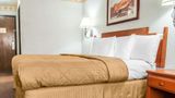 <b>Econo Lodge Las Cruces Room</b>. Images powered by <a href="https://iceportal.shijigroup.com/" title="IcePortal" target="_blank">IcePortal</a>.