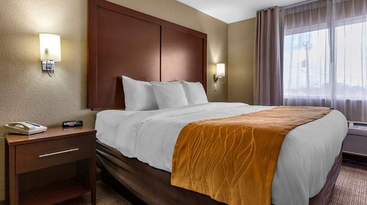 Comfort Inn and Suites Deming Suite