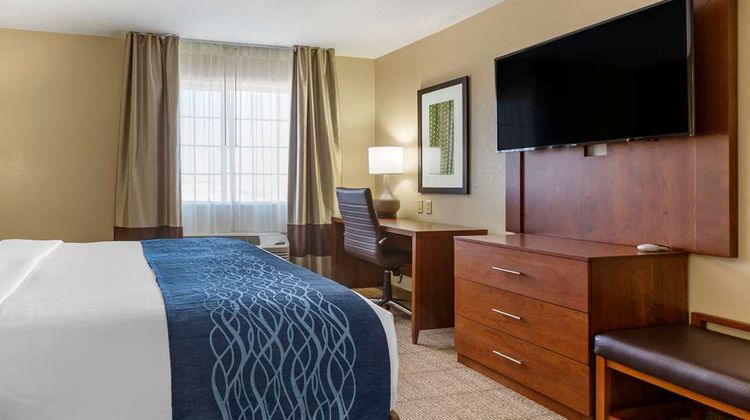 Comfort Inn & Suites Suite