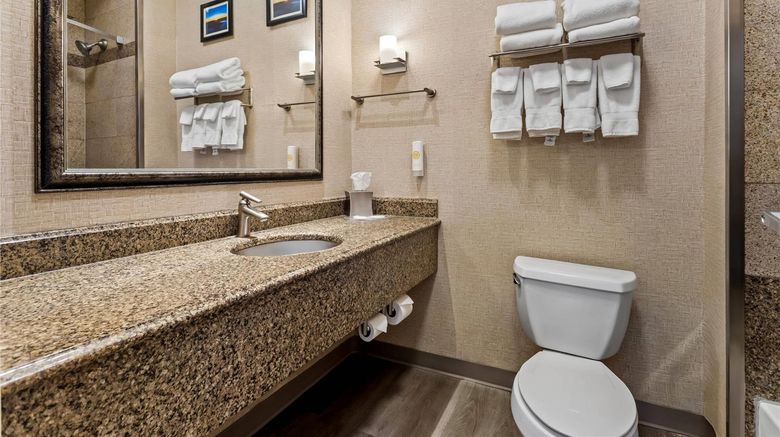 <b>Comfort Suites Roswell North Room</b>. Images powered by <a href="https://iceportal.shijigroup.com/" title="IcePortal" target="_blank">IcePortal</a>.