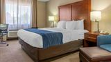 <b>Comfort Inn Albuquerque Airport Room</b>. Images powered by <a href="https://iceportal.shijigroup.com/" title="IcePortal" target="_blank">IcePortal</a>.