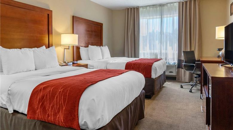 <b>Comfort Inn Albuquerque Airport Room</b>. Images powered by <a href="https://iceportal.shijigroup.com/" title="IcePortal" target="_blank">IcePortal</a>.