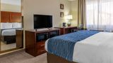 <b>Comfort Inn Albuquerque Airport Room</b>. Images powered by <a href="https://iceportal.shijigroup.com/" title="IcePortal" target="_blank">IcePortal</a>.